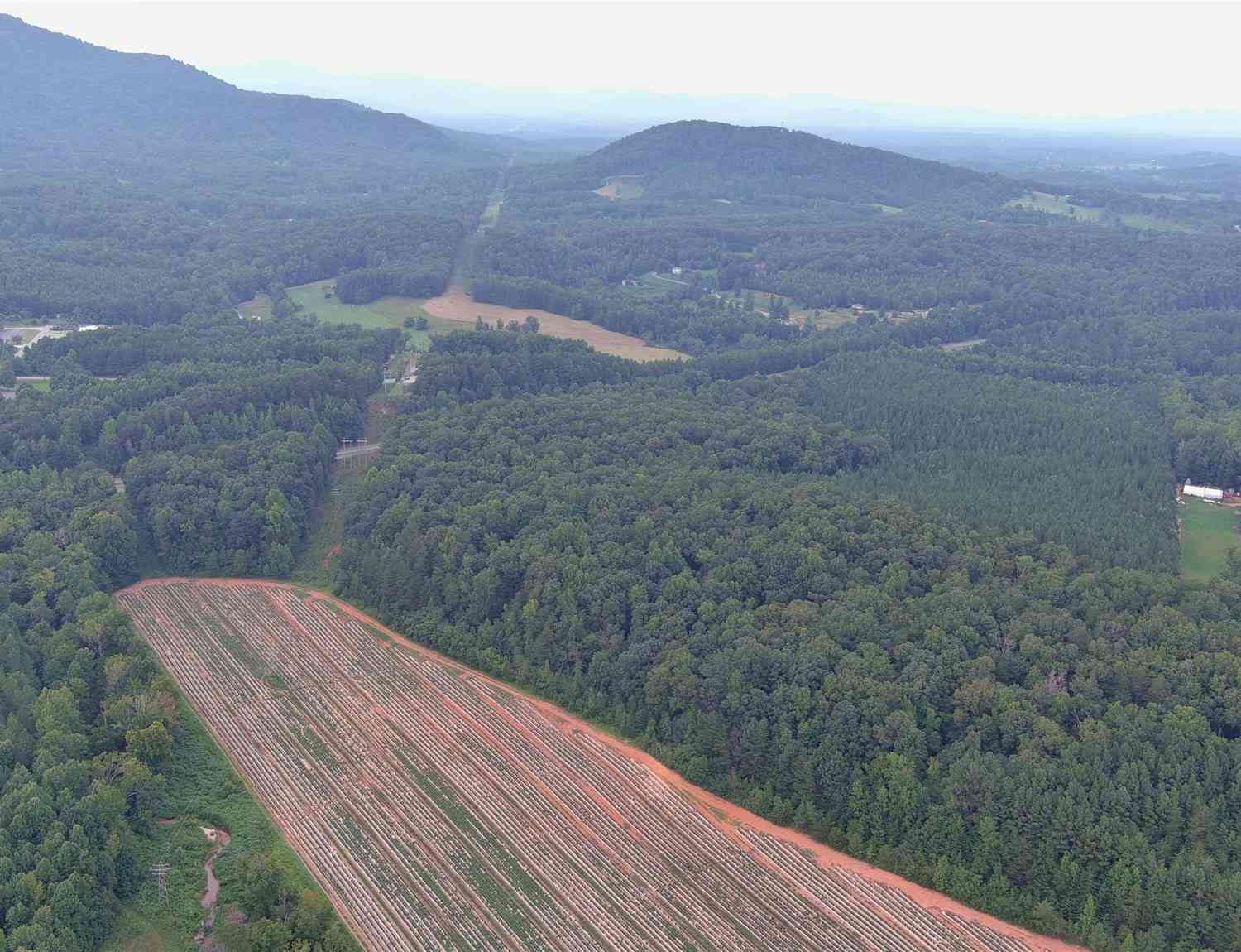 Fox Mountain Road #4, Columbus, North Carolina image 3