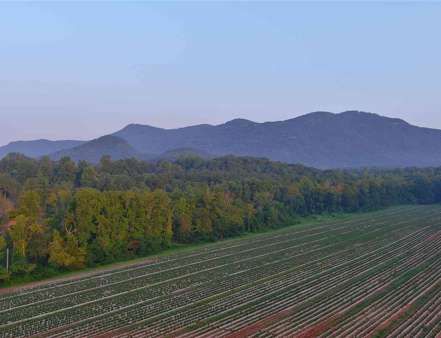 Fox Mountain Road #4, Columbus, North Carolina image 2