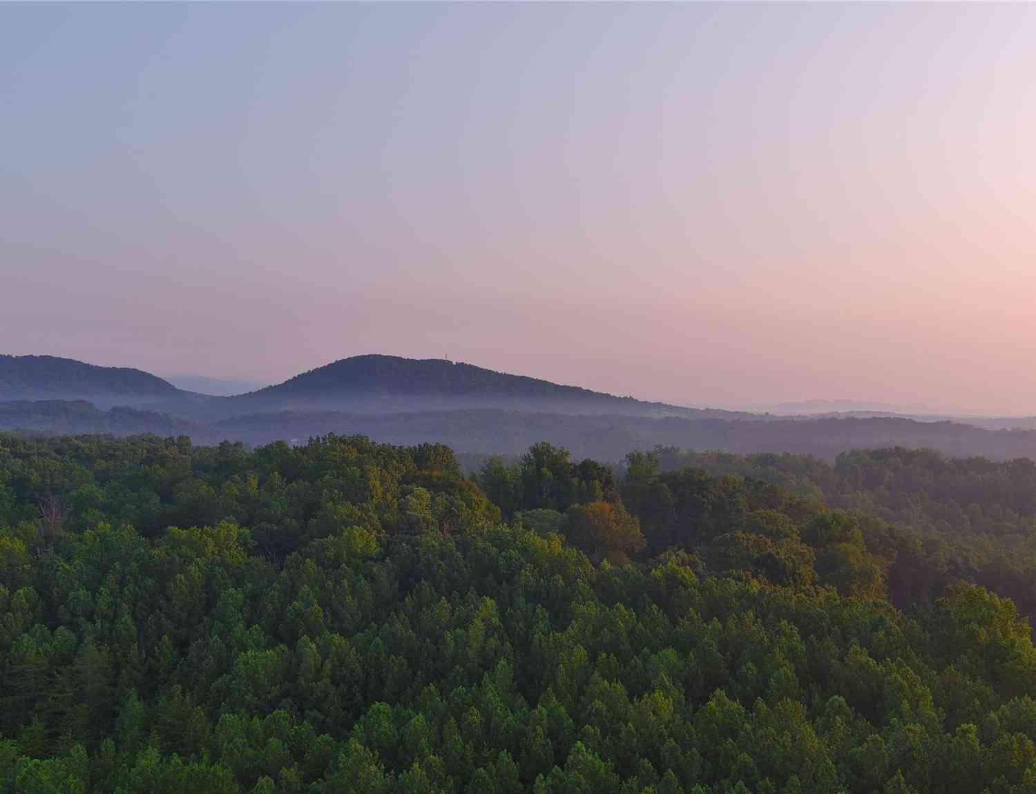 Fox Mountain Road #8, Columbus, North Carolina image 2