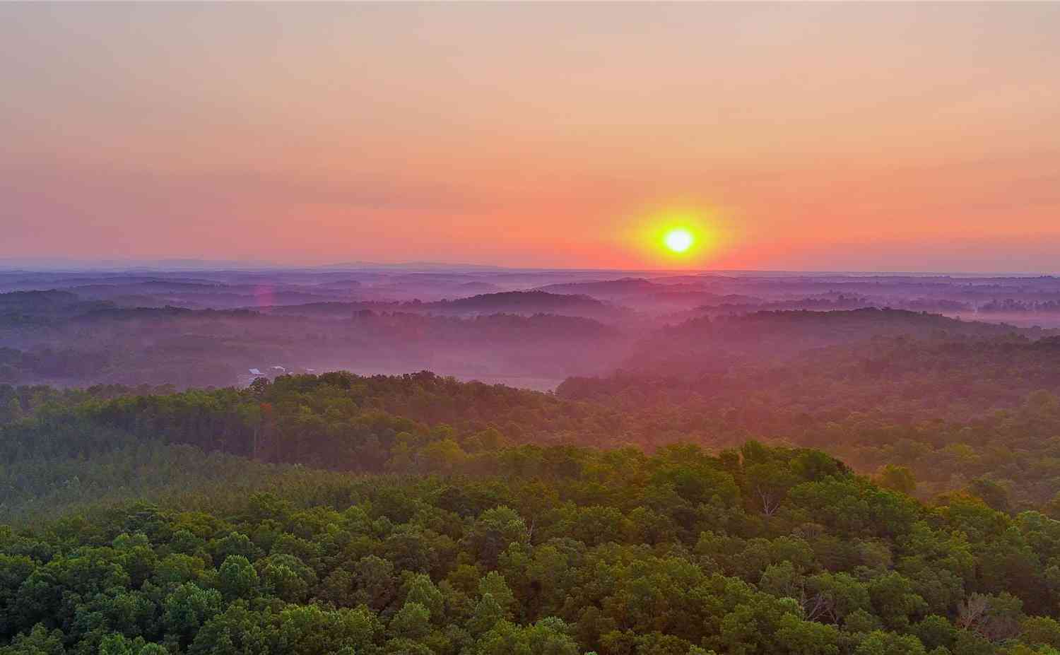 Fox Mountain Road #9, Columbus, North Carolina image 6