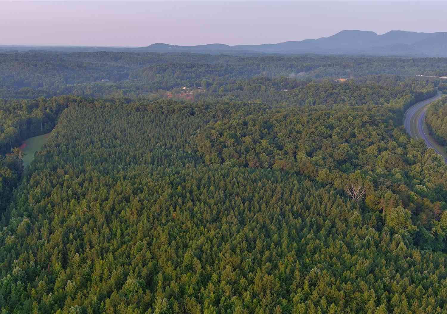 Fox Mountain Road #11, Columbus, North Carolina image 2