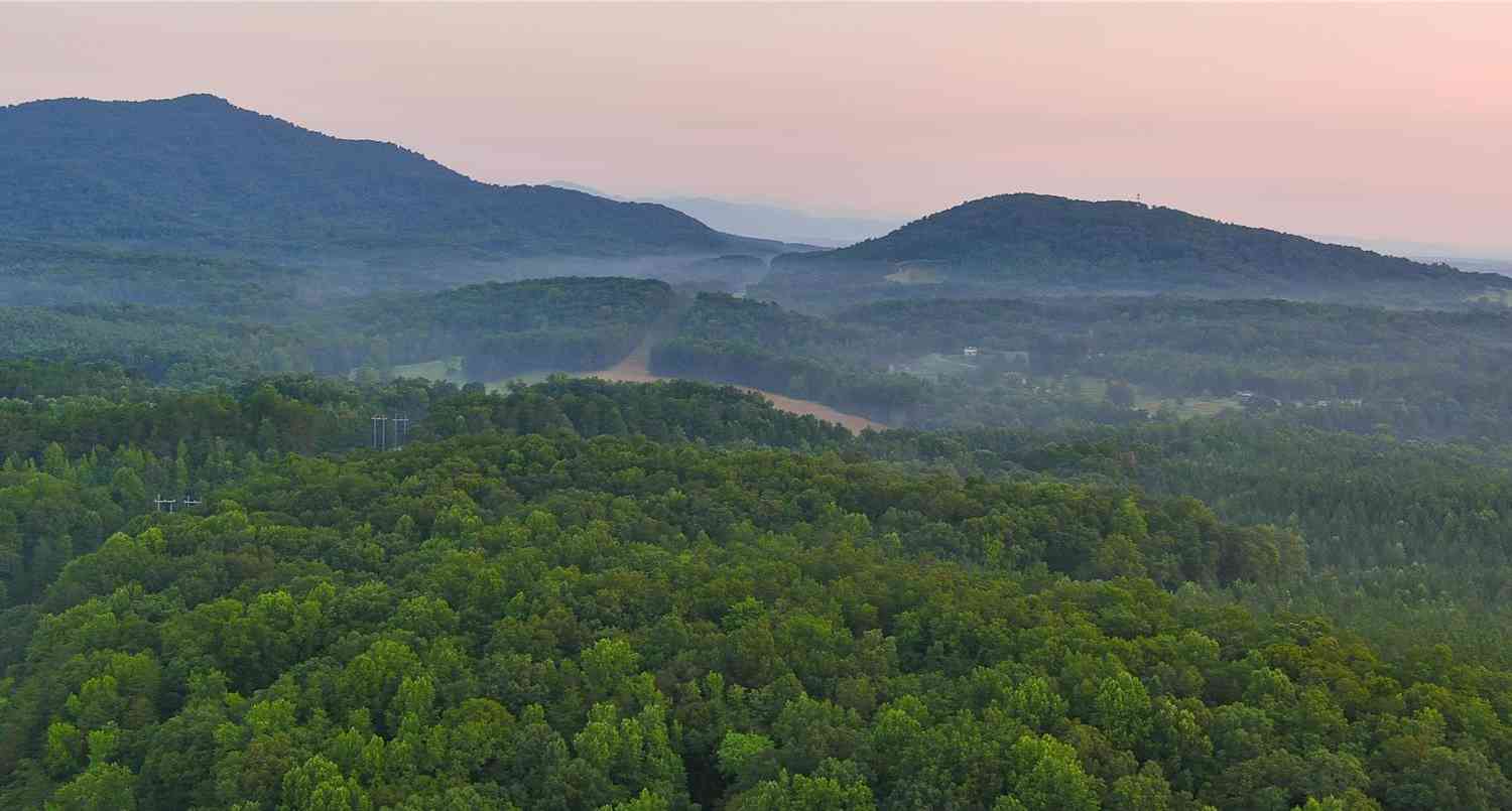 Fox Mountain Road #11, Columbus, North Carolina image 1