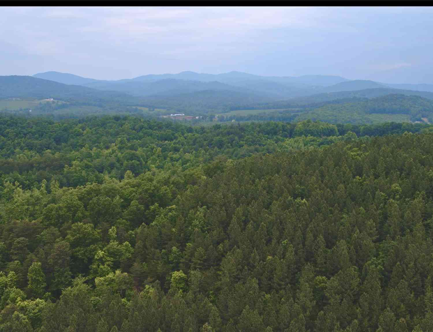 Hwy 64/90 Highway, Taylorsville, North Carolina image 6