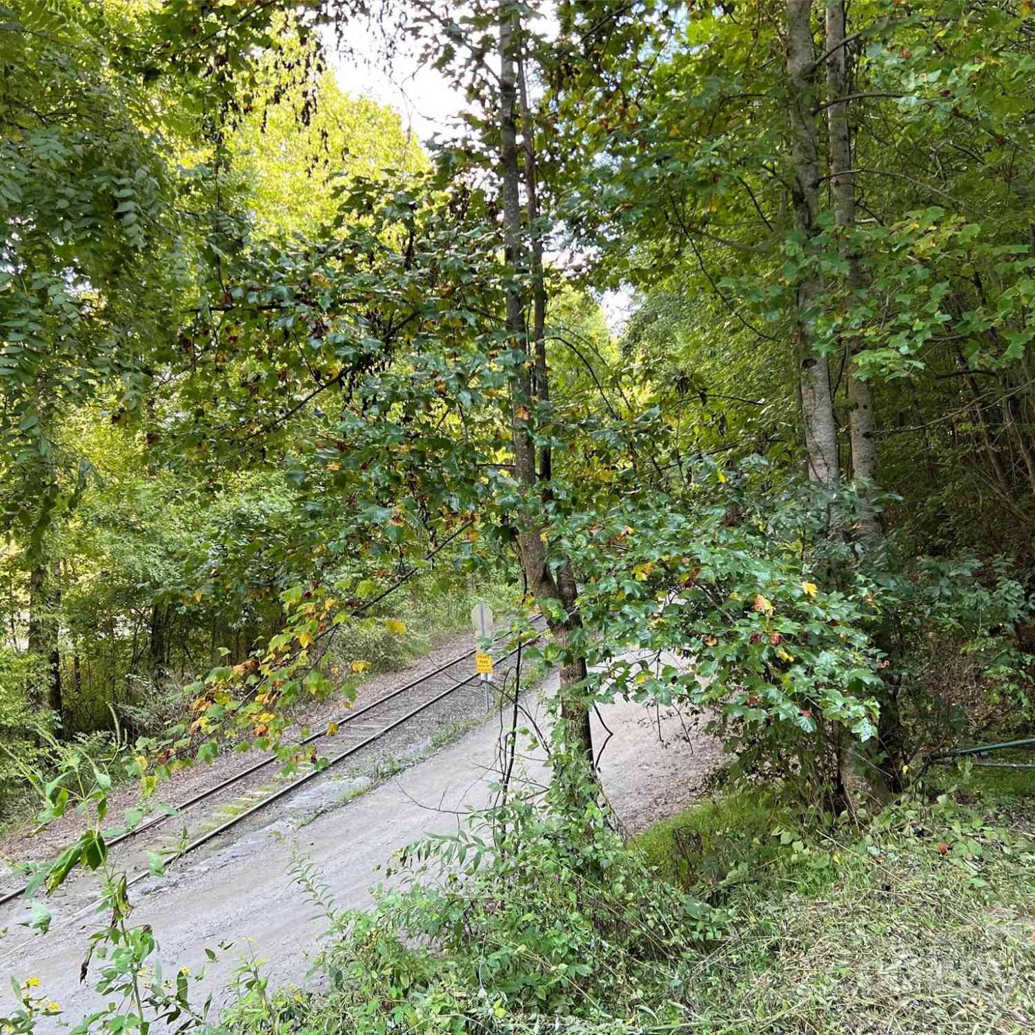 Double Bridge Road, Whittier, North Carolina image 12