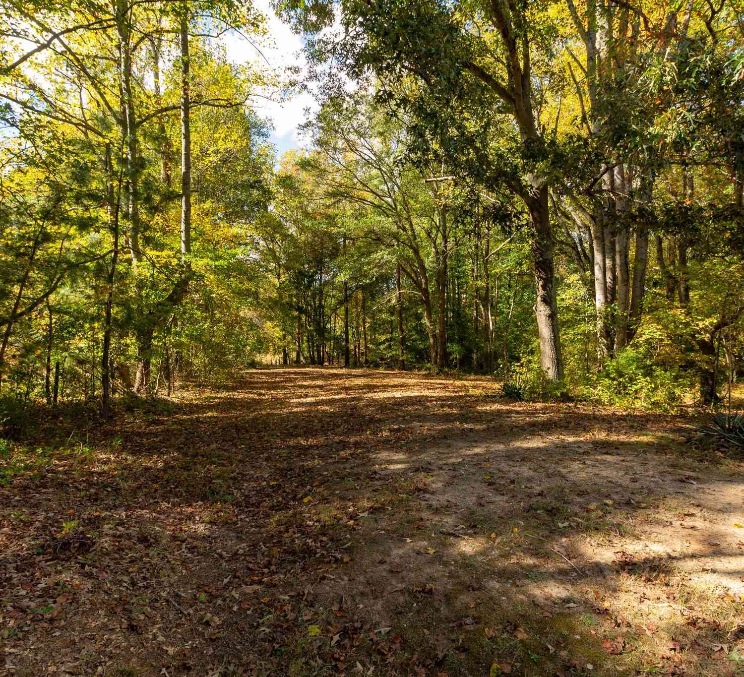 2167 Vestibule Church Road #5U, 16U, Kings Mountain, North Carolina image 7