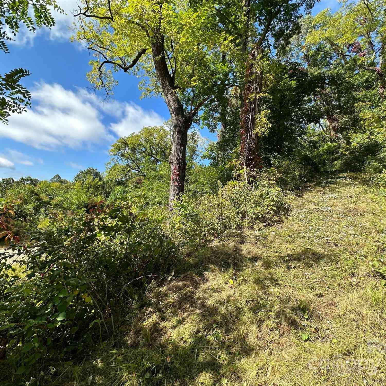 00 High Rock View Drive, Canton, North Carolina image 9