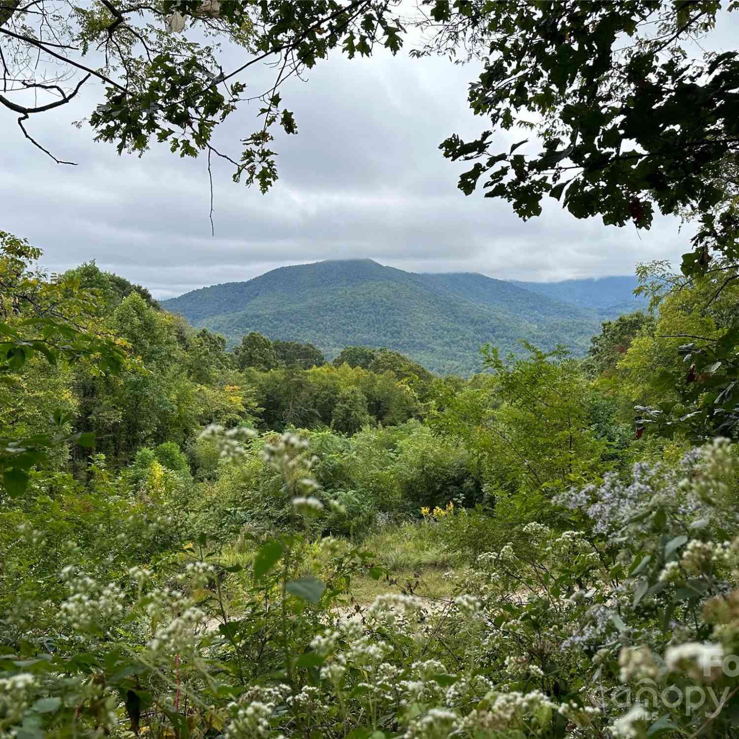 00 High Rock View Drive, Canton, North Carolina image 8