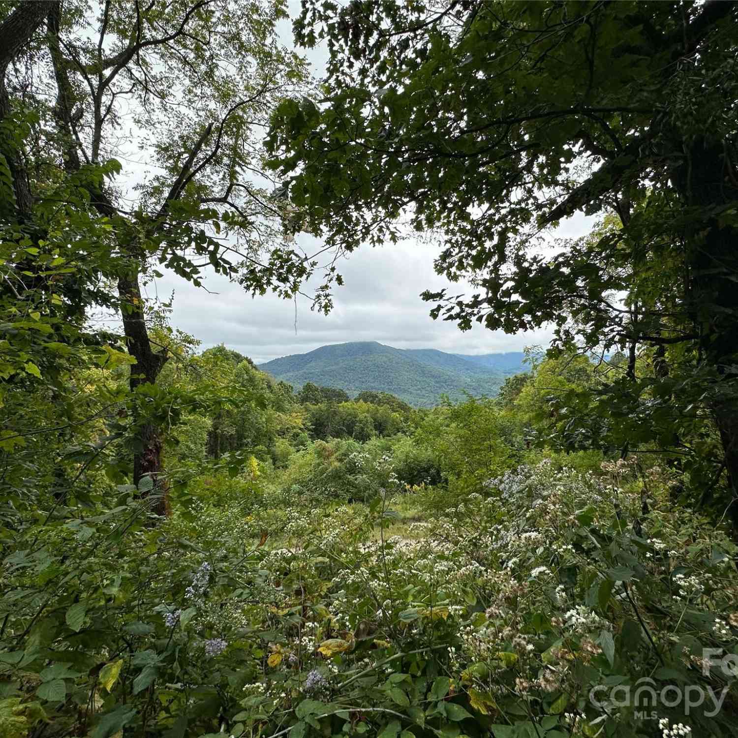 00 High Rock View Drive, Canton, North Carolina image 17