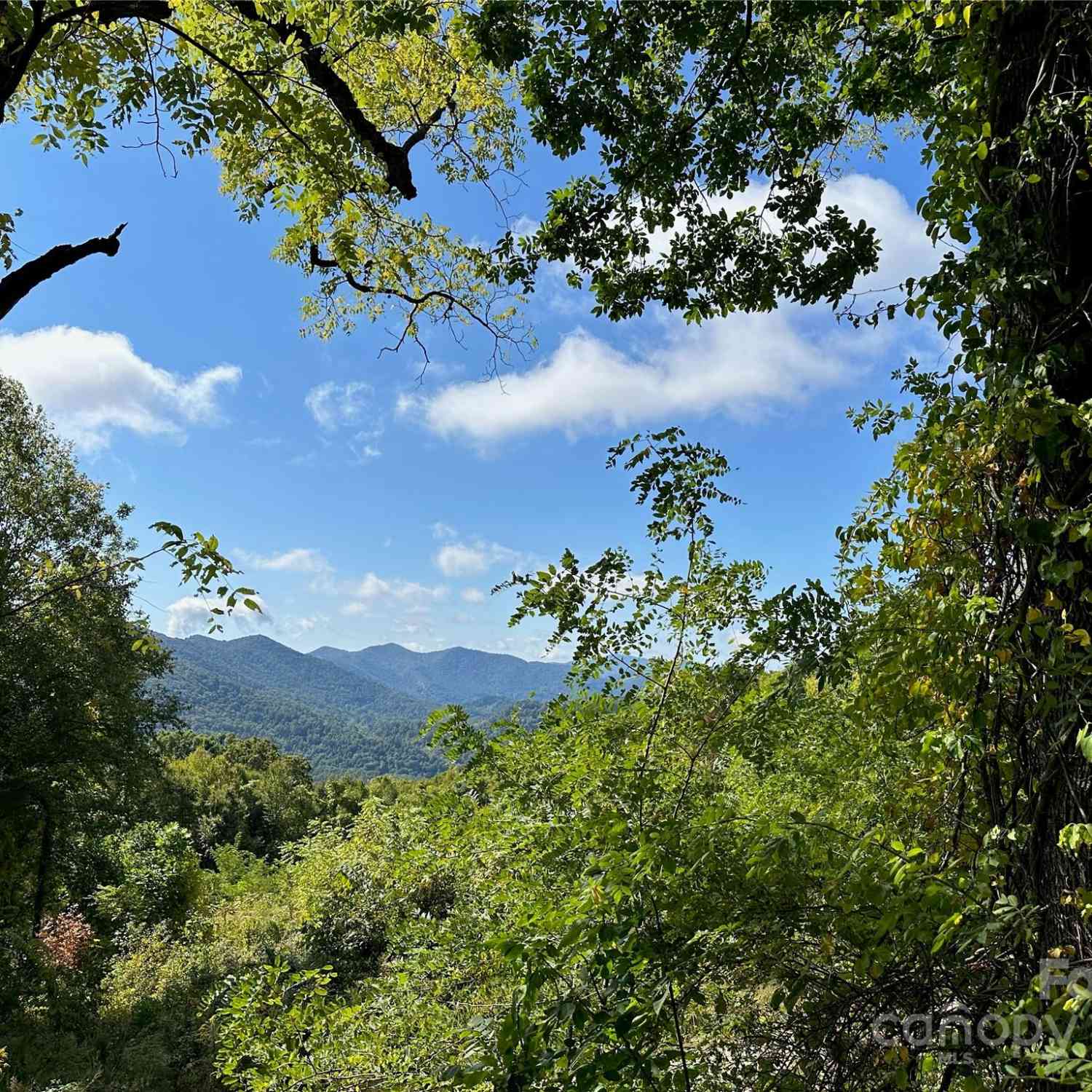 00 High Rock View Drive, Canton, North Carolina image 16