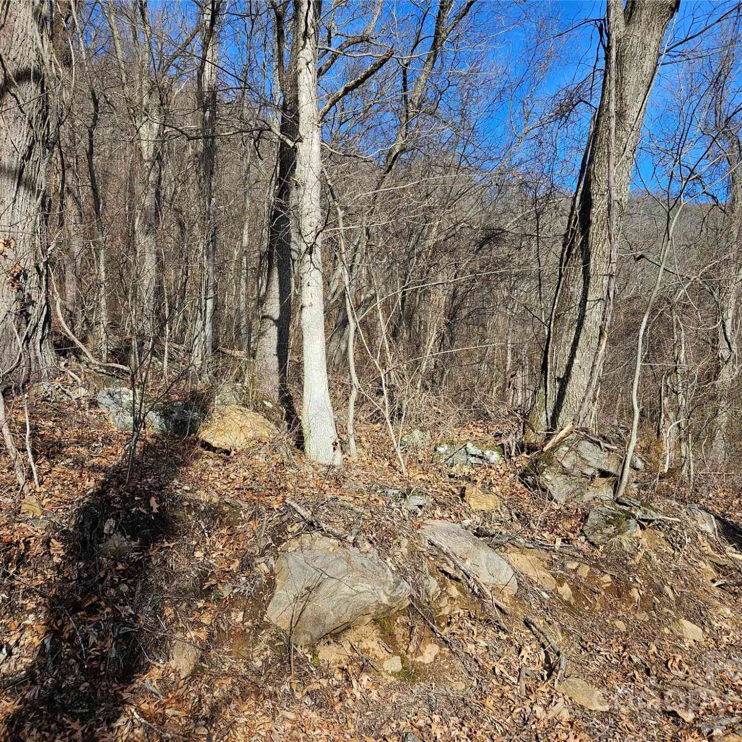 00 High Rock View Drive, Canton, North Carolina image 7