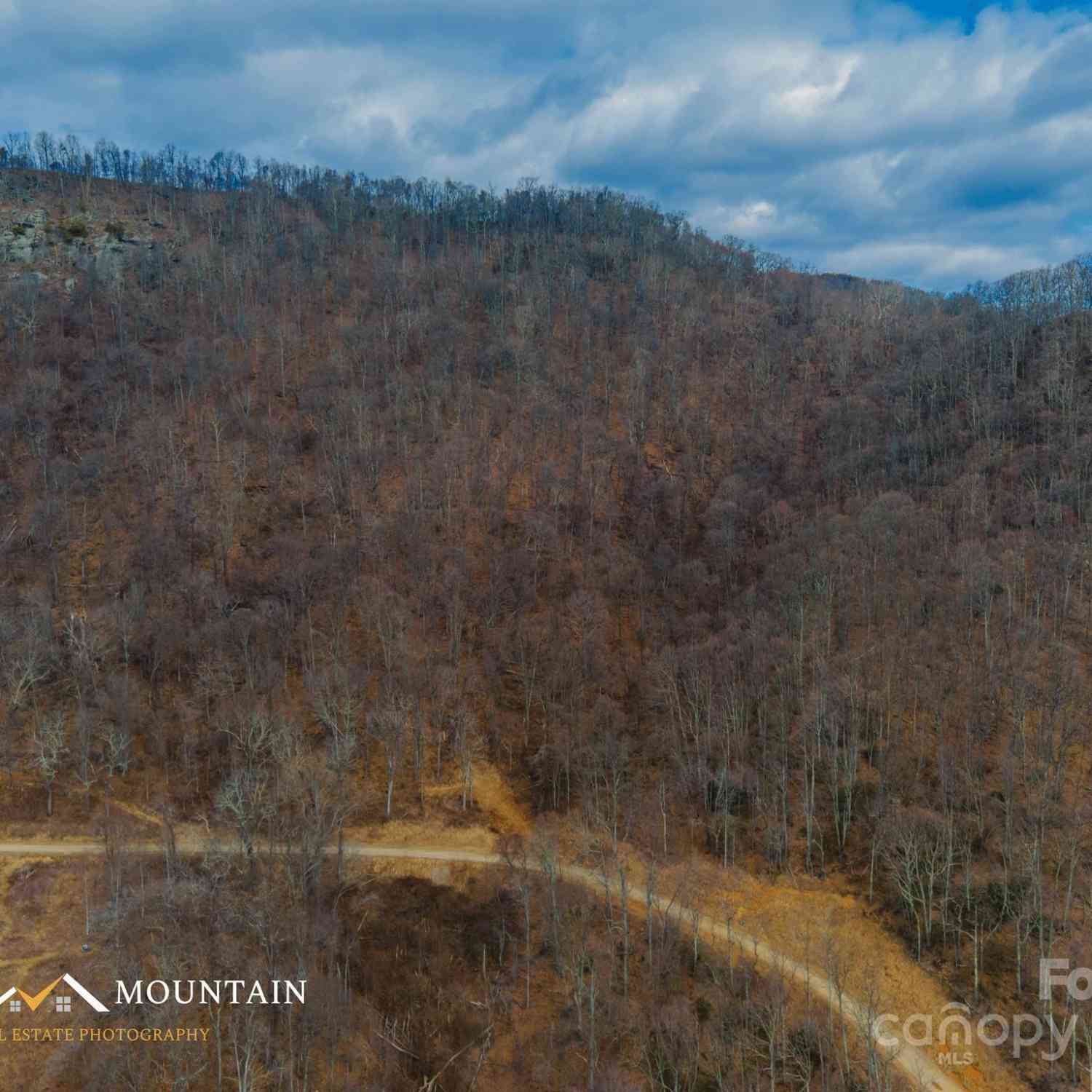 00 High Rock View Drive, Canton, North Carolina image 2