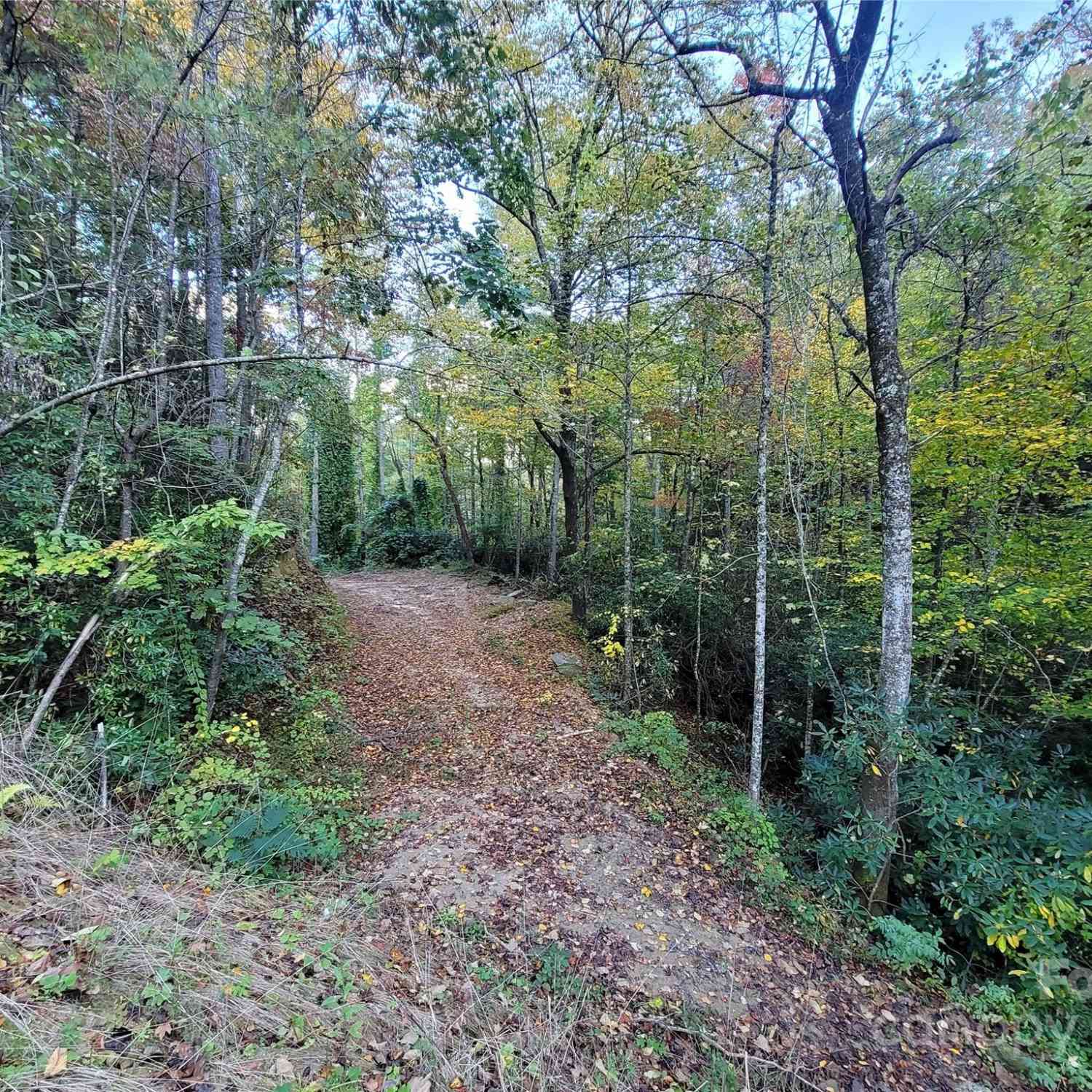 000 Big Hungry Road, Flat Rock, North Carolina image 15