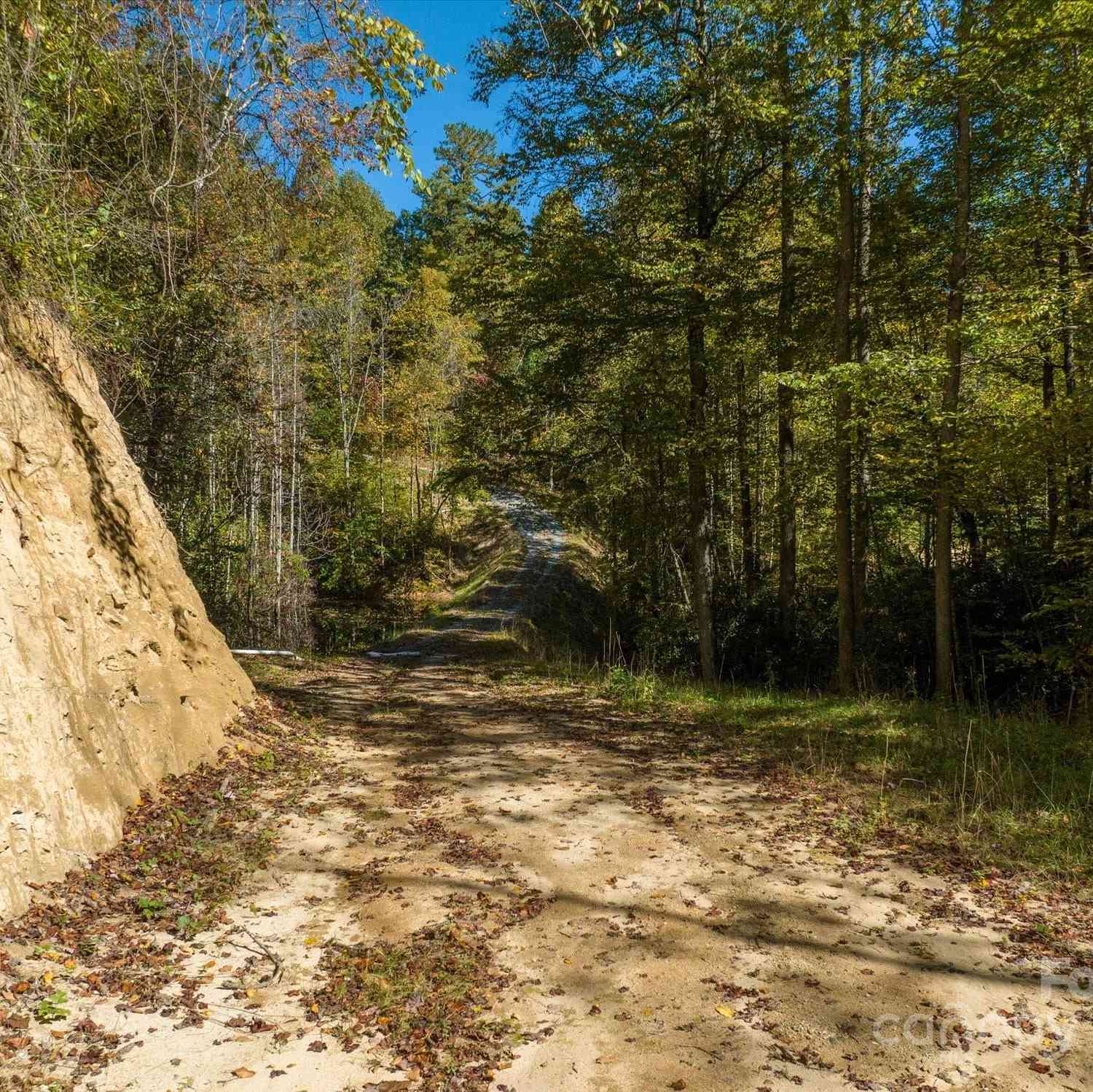 000 Big Hungry Road, Flat Rock, North Carolina image 22