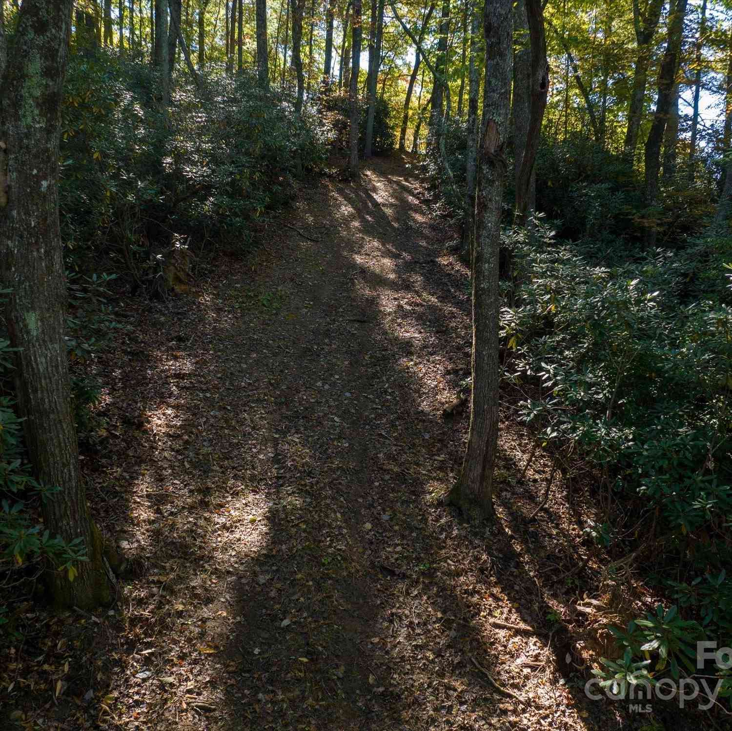 000 Big Hungry Road, Flat Rock, North Carolina image 28