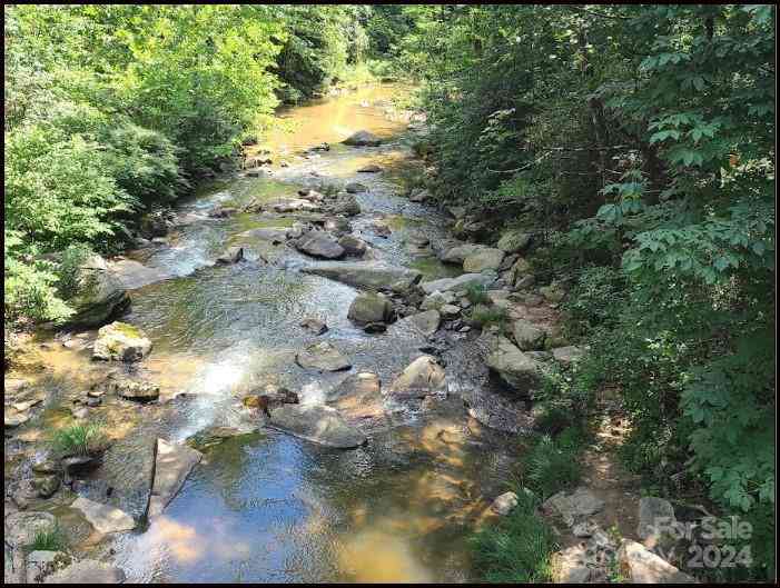 000 Big Hungry Road, Flat Rock, North Carolina image 36