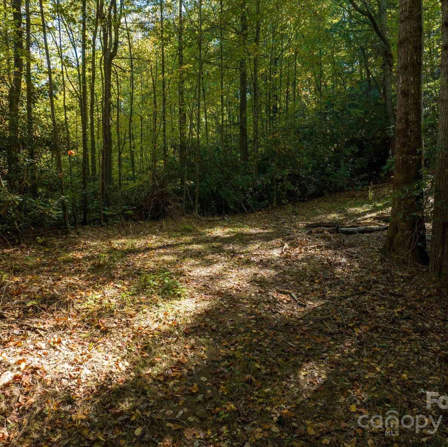 000 Big Hungry Road, Flat Rock, North Carolina image 27