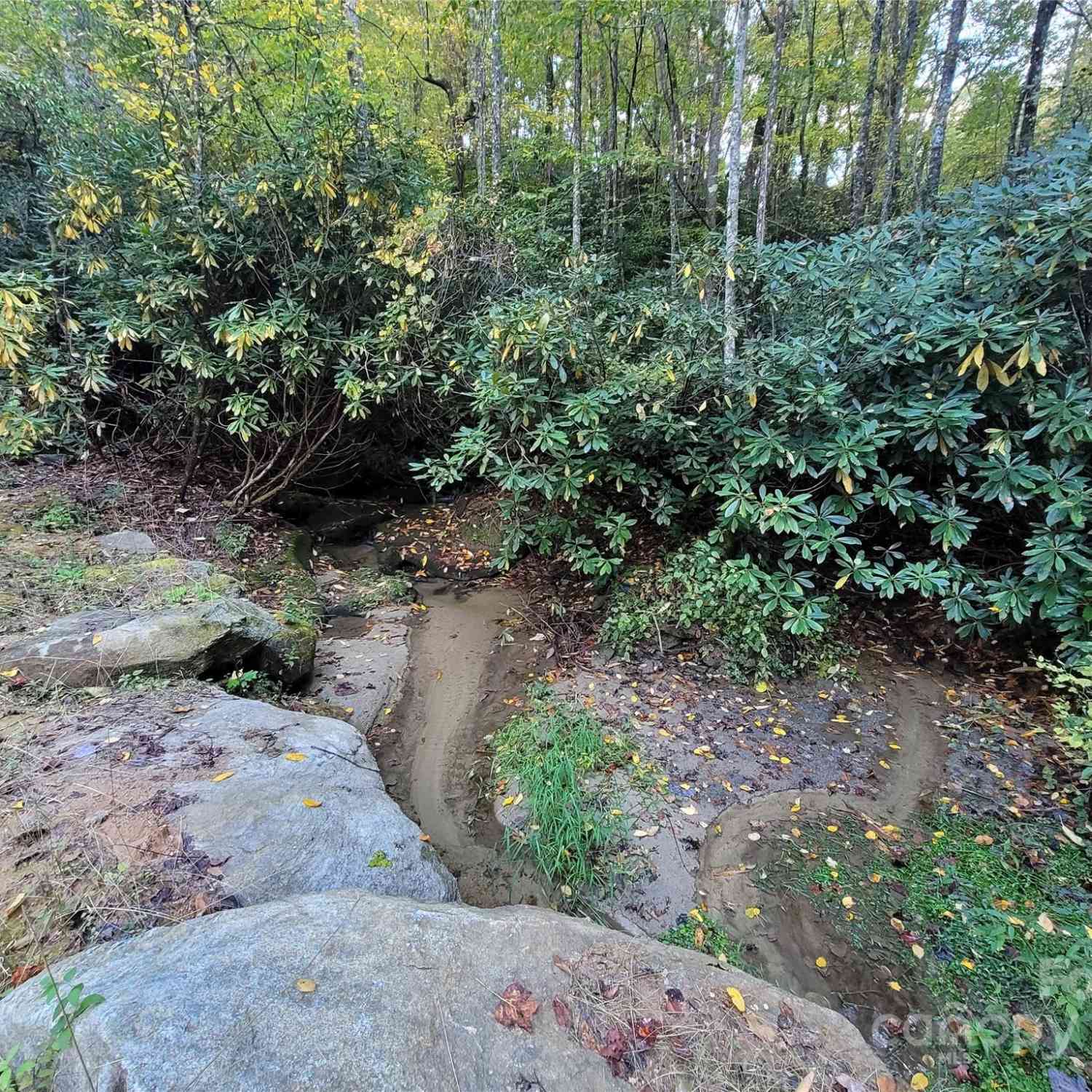 000 Big Hungry Road, Flat Rock, North Carolina image 7