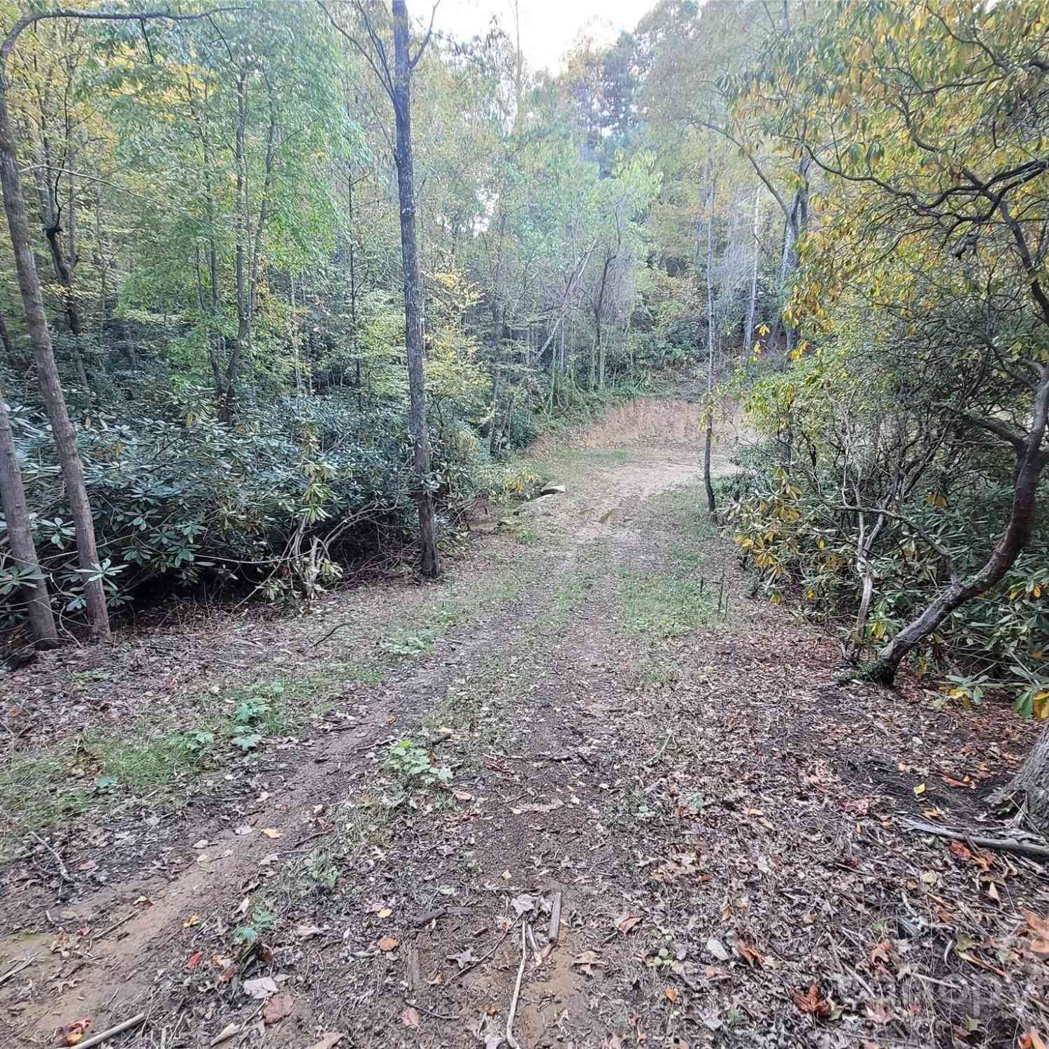 000 Big Hungry Road, Flat Rock, North Carolina image 16