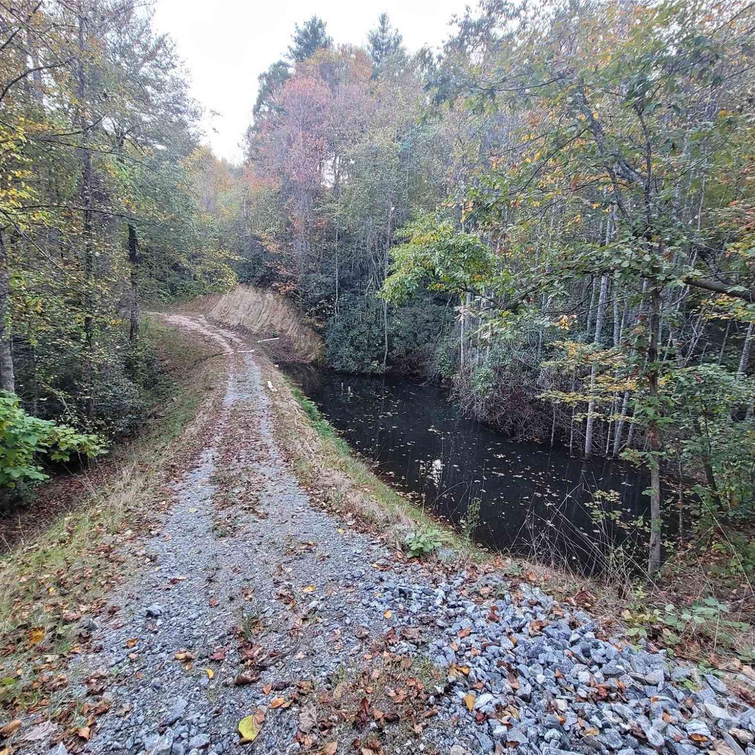 000 Big Hungry Road, Flat Rock, North Carolina image 8