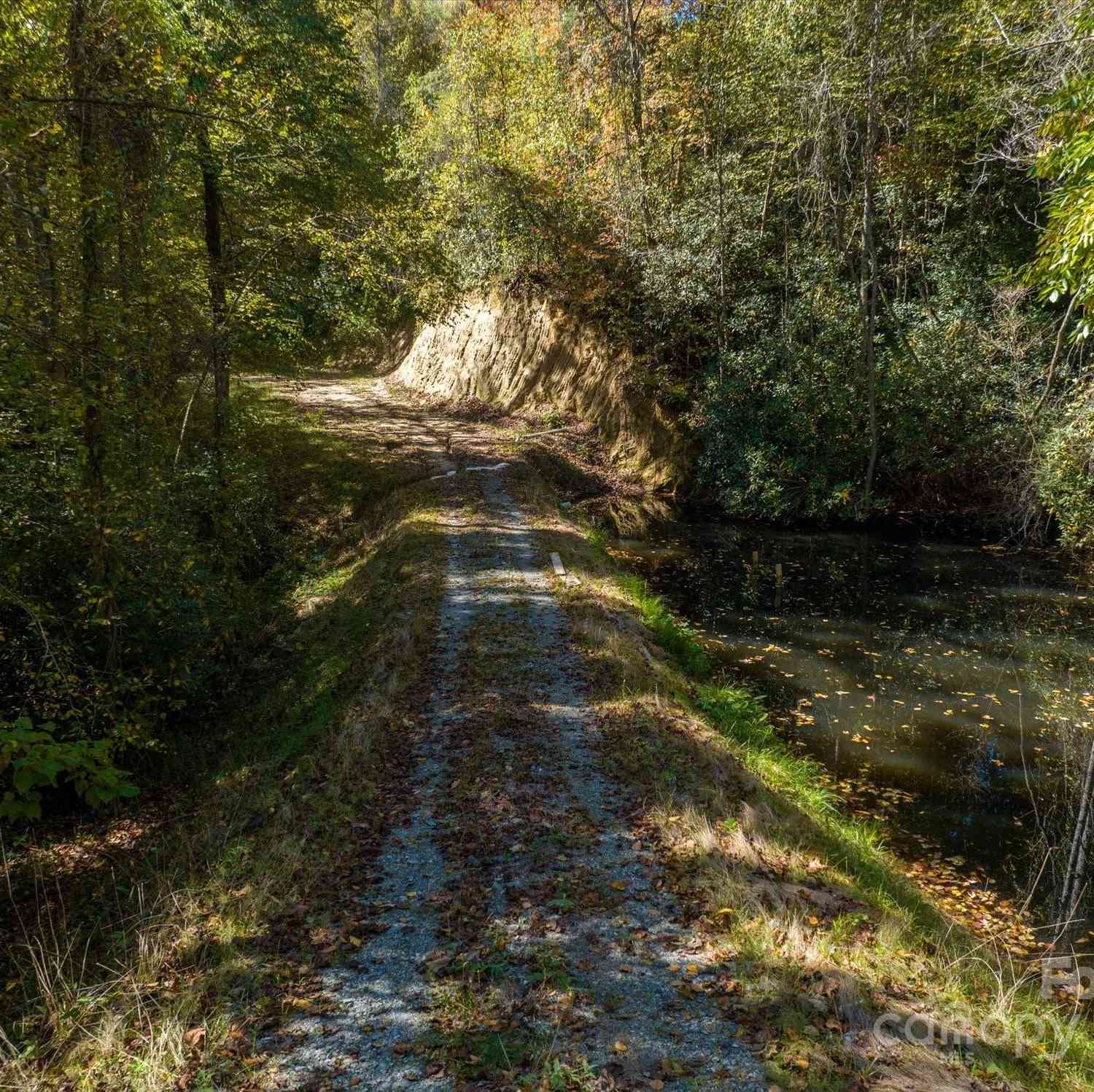 000 Big Hungry Road, Flat Rock, North Carolina image 21