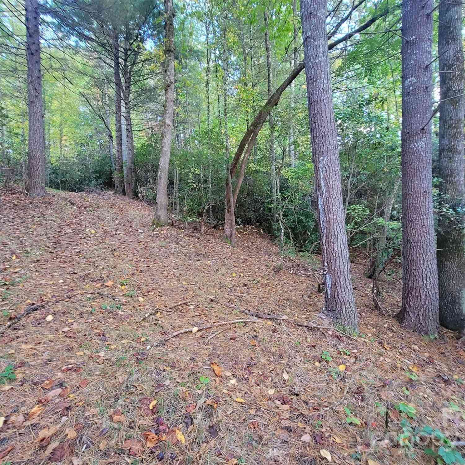 000 Big Hungry Road, Flat Rock, North Carolina image 19