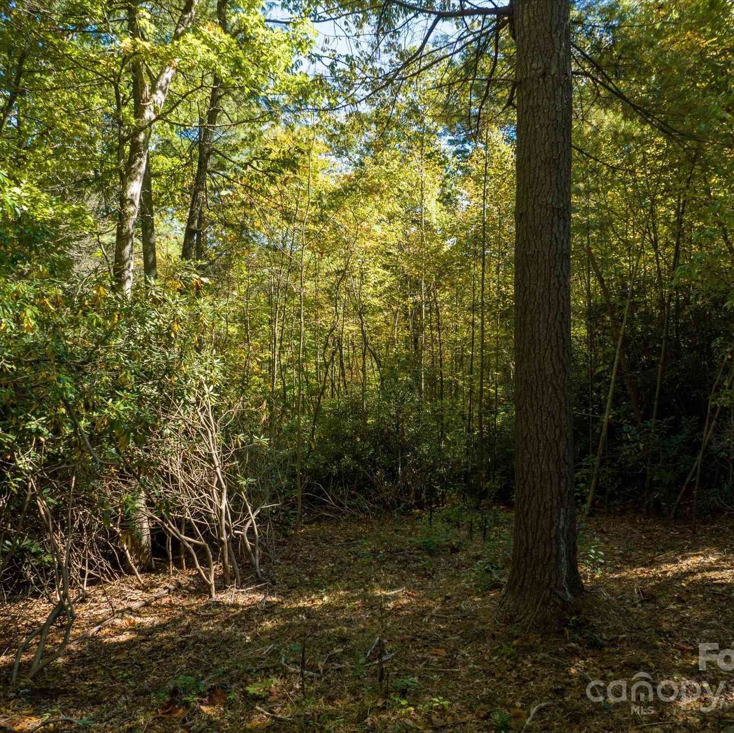 000 Big Hungry Road, Flat Rock, North Carolina image 26