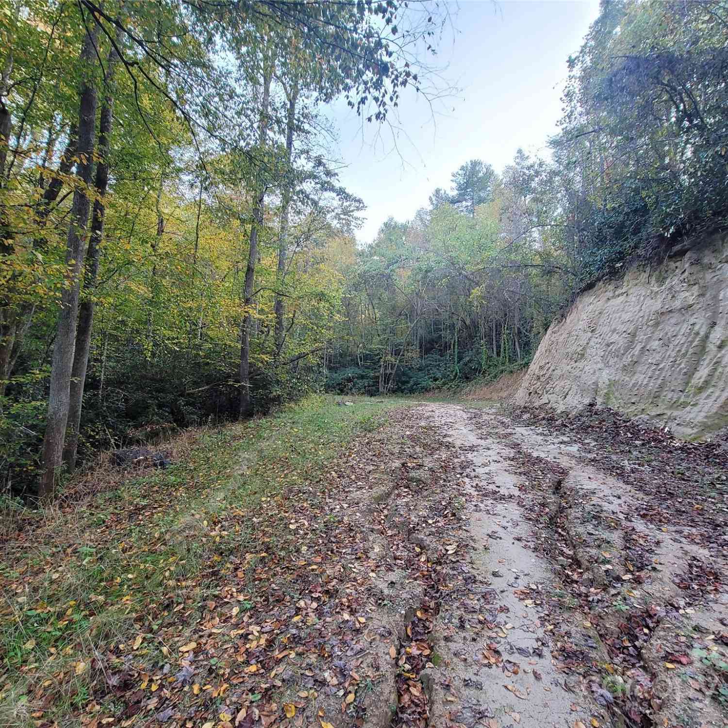 000 Big Hungry Road, Flat Rock, North Carolina image 18