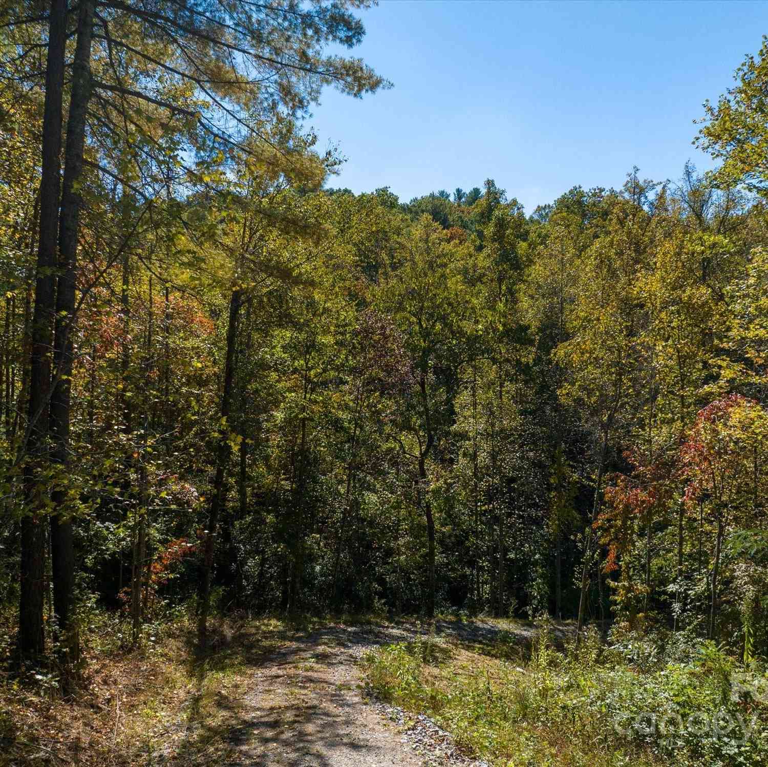 000 Big Hungry Road, Flat Rock, North Carolina image 20