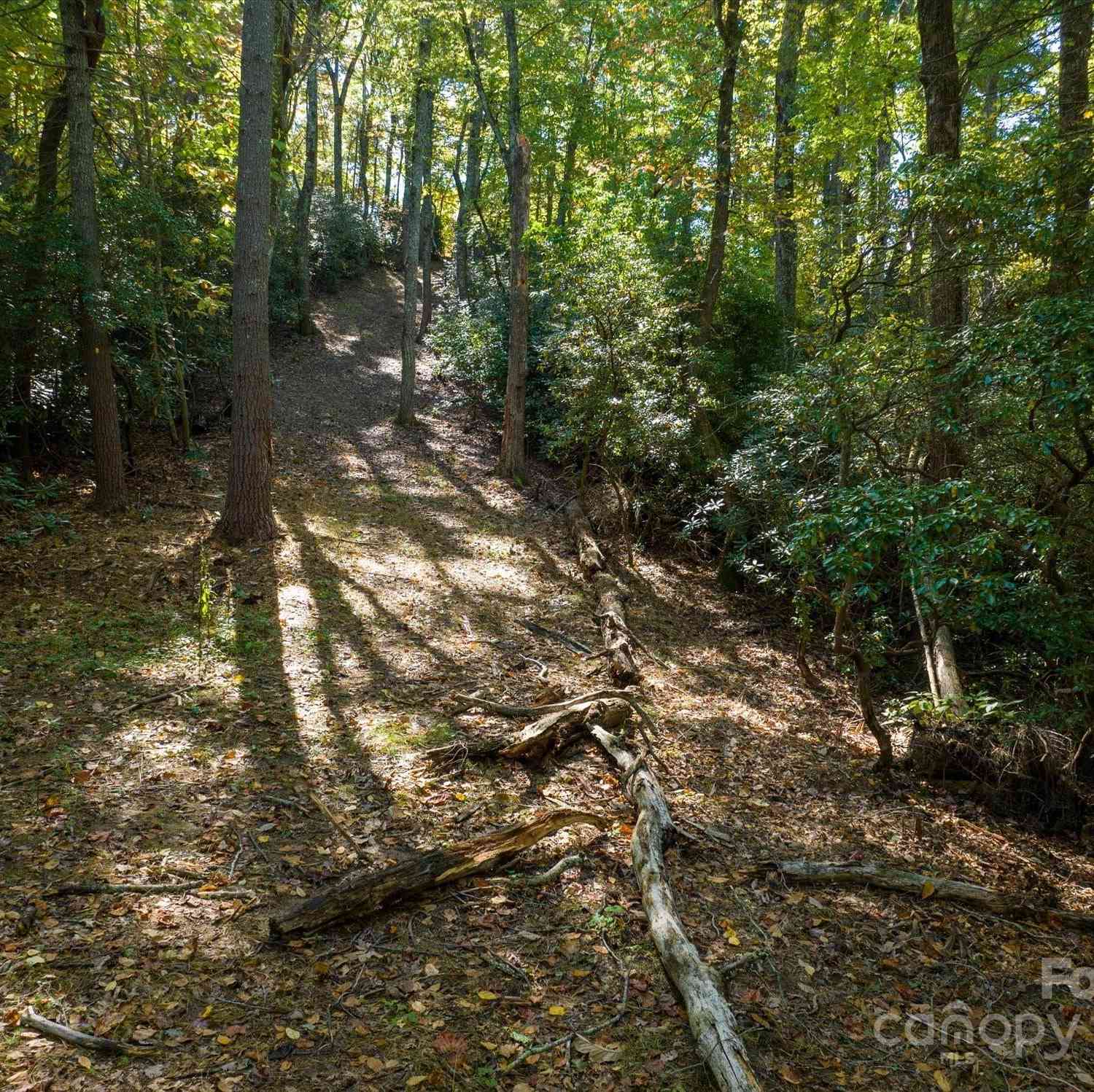 000 Big Hungry Road, Flat Rock, North Carolina image 29