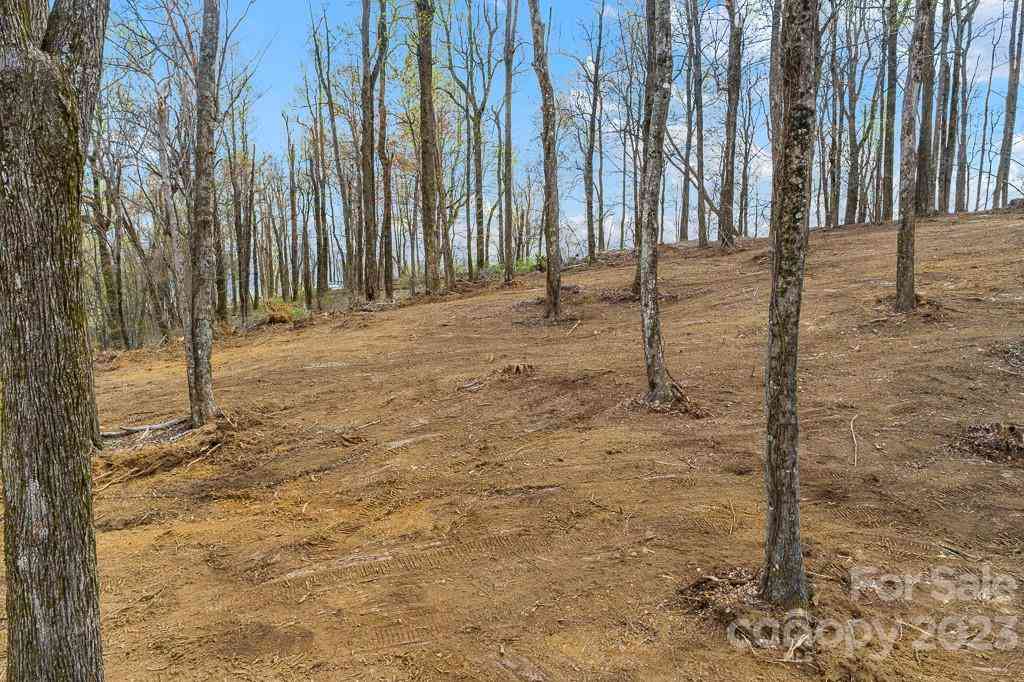 9999-10 Rocky Knob Road, Fairview, North Carolina image 18