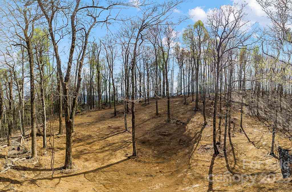 9999-10 Rocky Knob Road, Fairview, North Carolina image 21