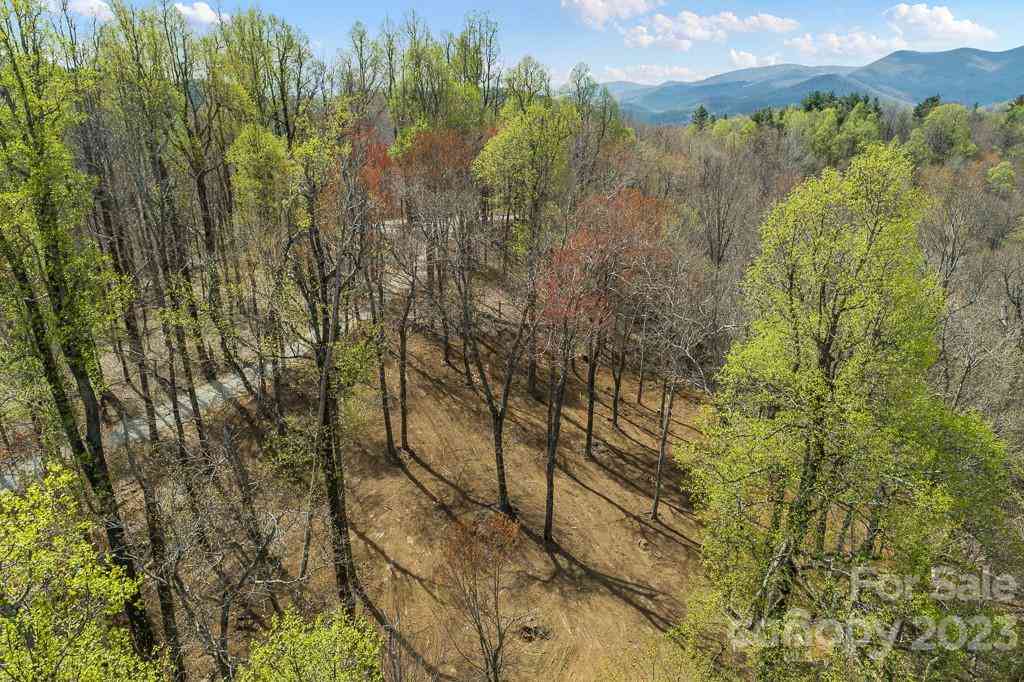 9999-10 Rocky Knob Road, Fairview, North Carolina image 3