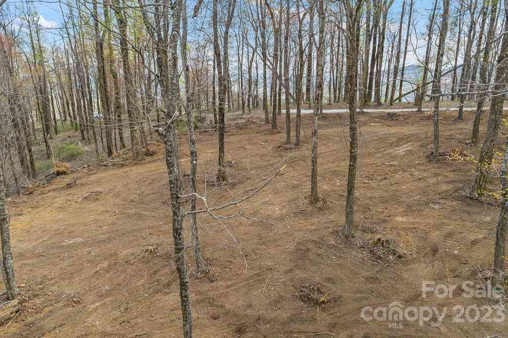 9999-10 Rocky Knob Road, Fairview, North Carolina image 19