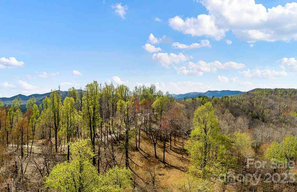 9999-10 Rocky Knob Road, Fairview, North Carolina image 7