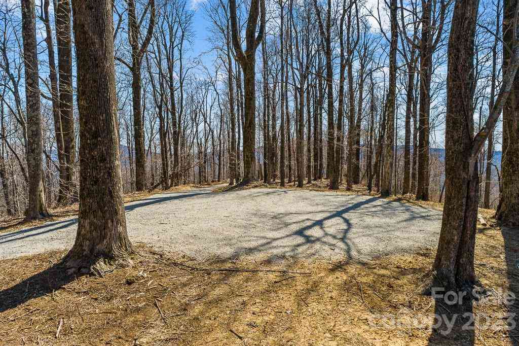 9999-10 Rocky Knob Road, Fairview, North Carolina image 11