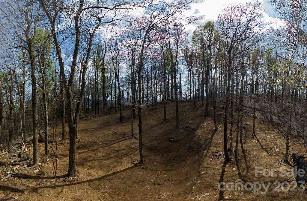 9999-10 Rocky Knob Road, Fairview, North Carolina image 20