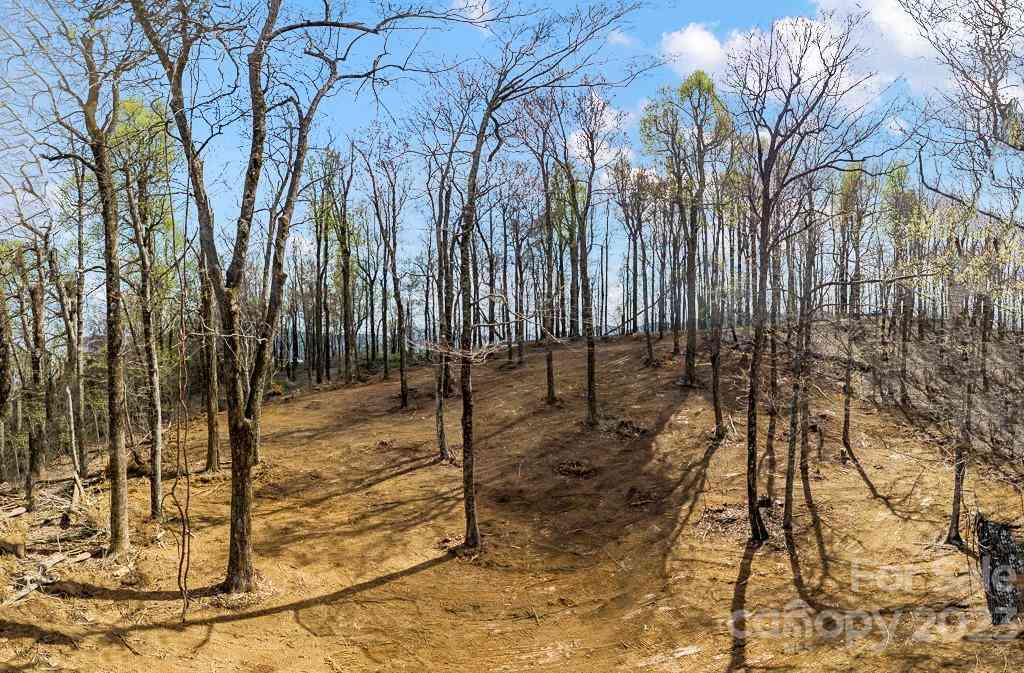 9999-10 Rocky Knob Road, Fairview, North Carolina image 10