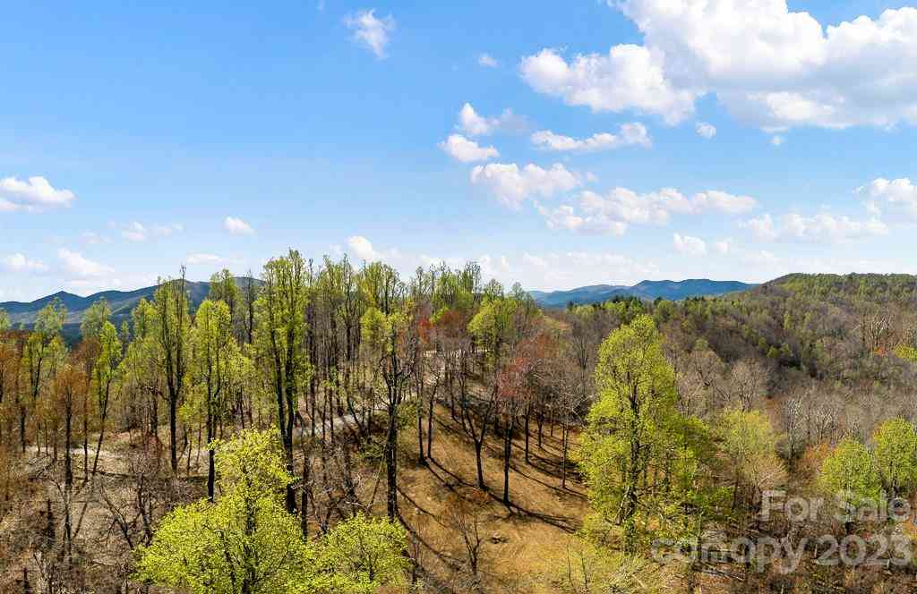 9999-10 Rocky Knob Road, Fairview, North Carolina image 2