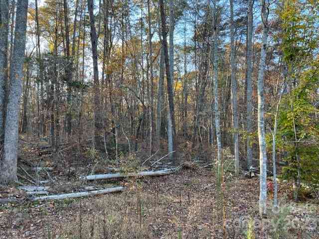 TBD Shady Lane, Mill Spring, North Carolina image 7