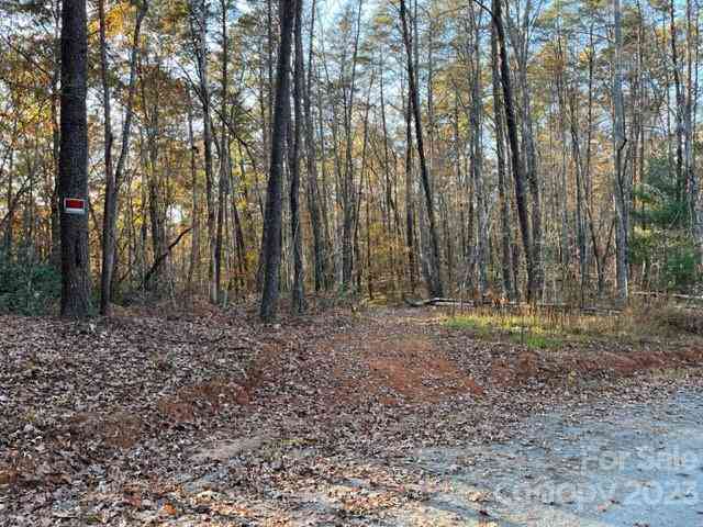 TBD Shady Lane, Mill Spring, North Carolina image 5