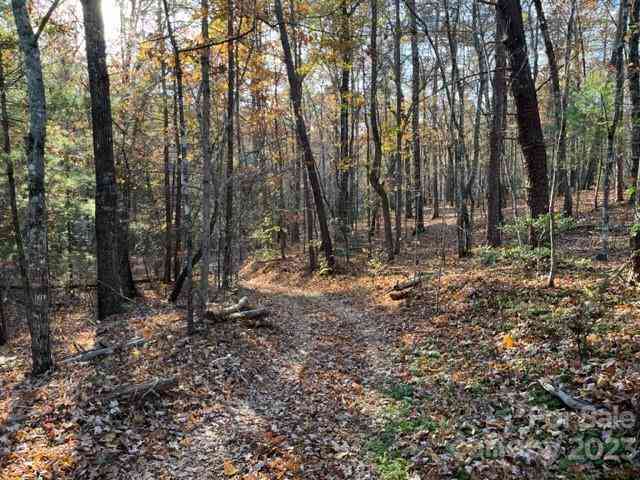 TBD Shady Lane, Mill Spring, North Carolina image 6