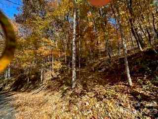 19 Lochmoor Lane, Waynesville, North Carolina image 1