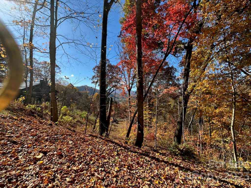 19 Lochmoor Lane, Waynesville, North Carolina image 5