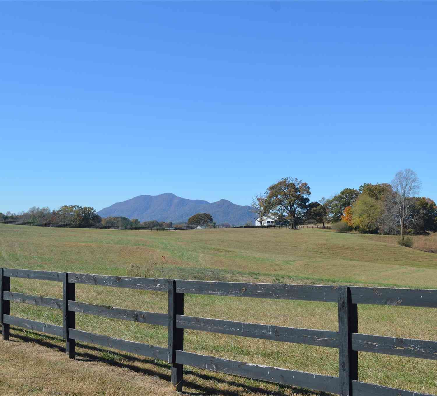 00 Saddleside Drive, Mill Spring, North Carolina image 6