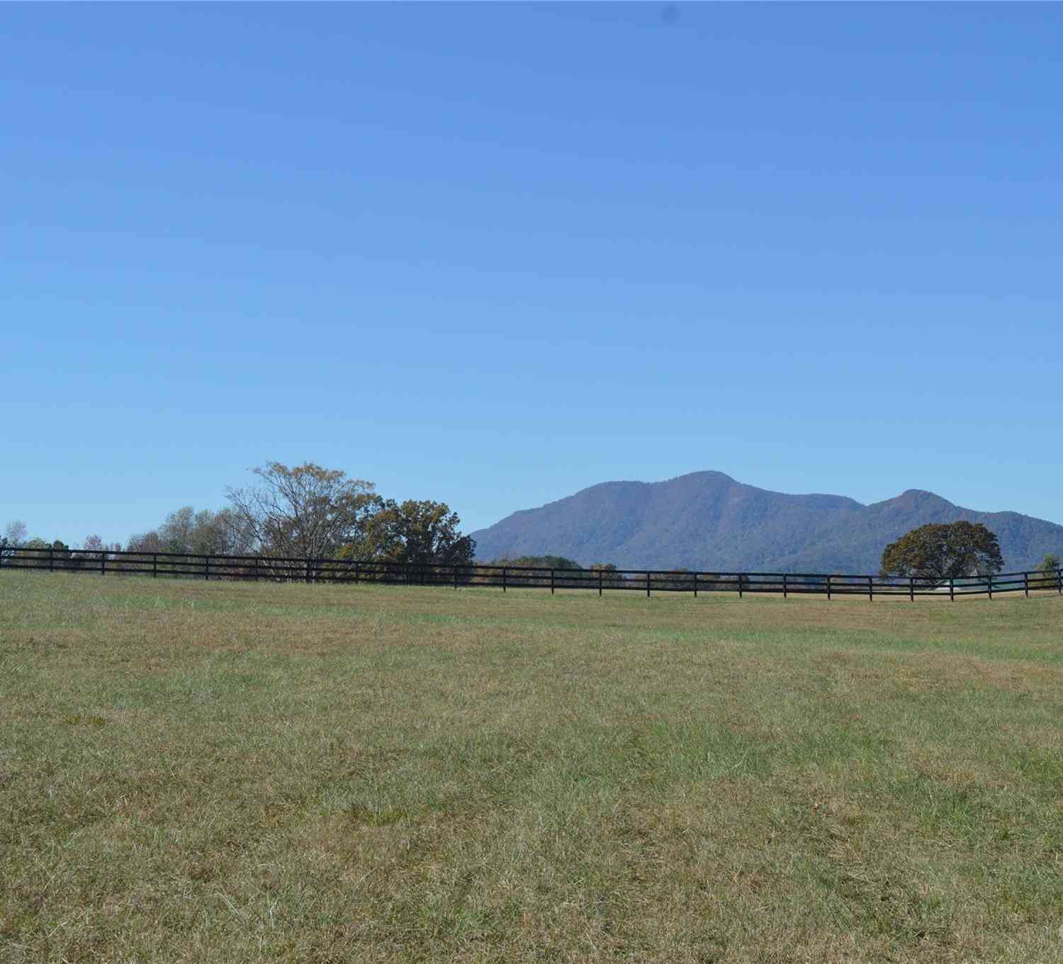 00 Saddleside Drive, Mill Spring, North Carolina image 3