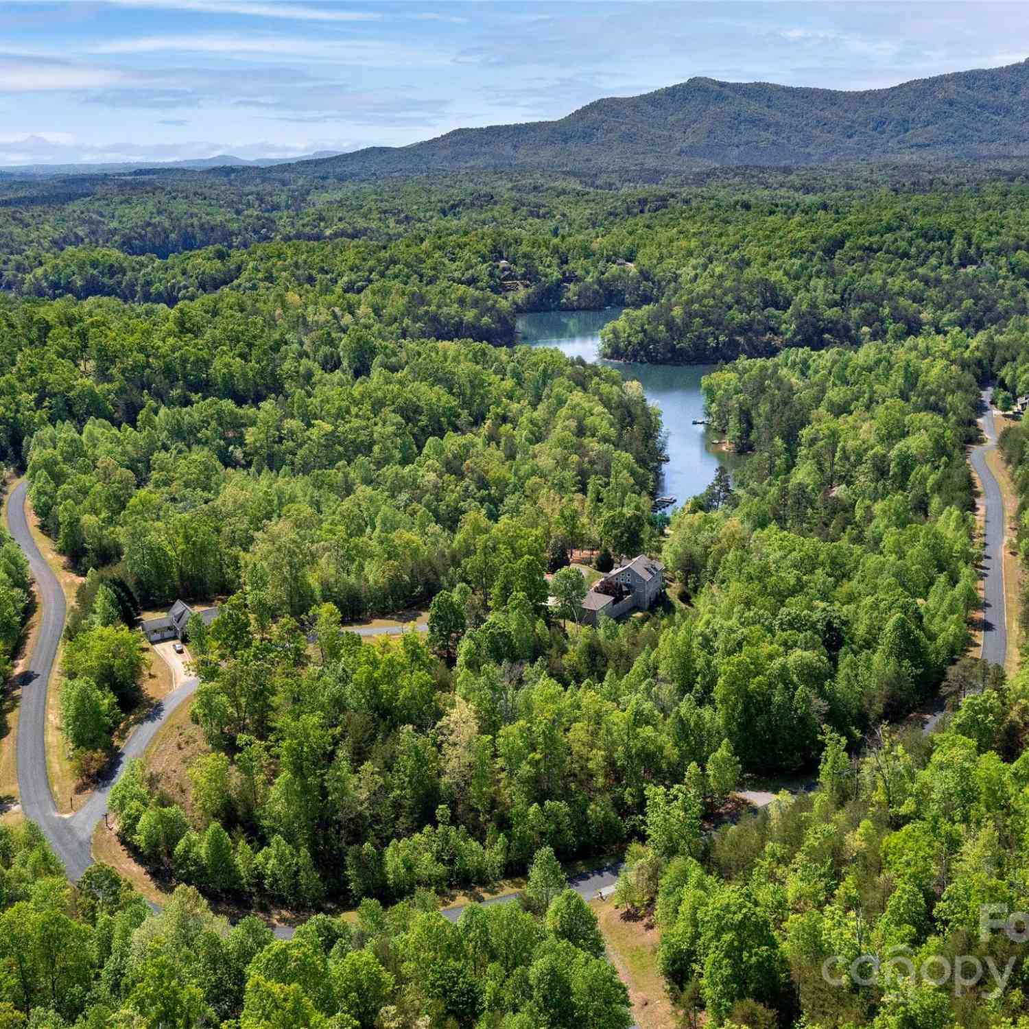 Lot 17-1 Village Park Lane, Mill Spring, North Carolina image 19