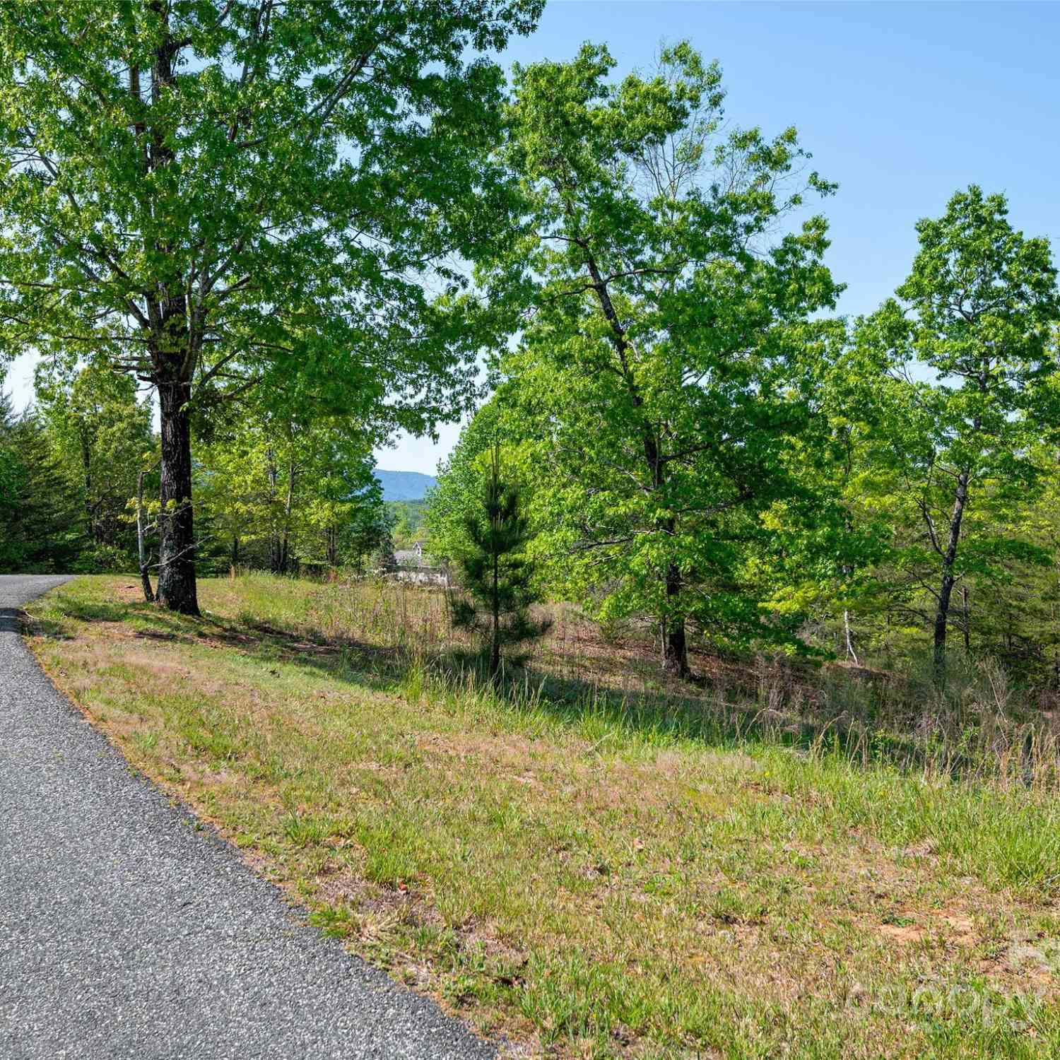 Lot 17-1 Village Park Lane, Mill Spring, North Carolina image 5