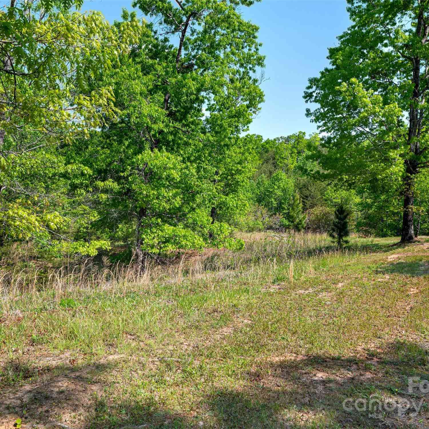 Lot 17-1 Village Park Lane, Mill Spring, North Carolina image 6