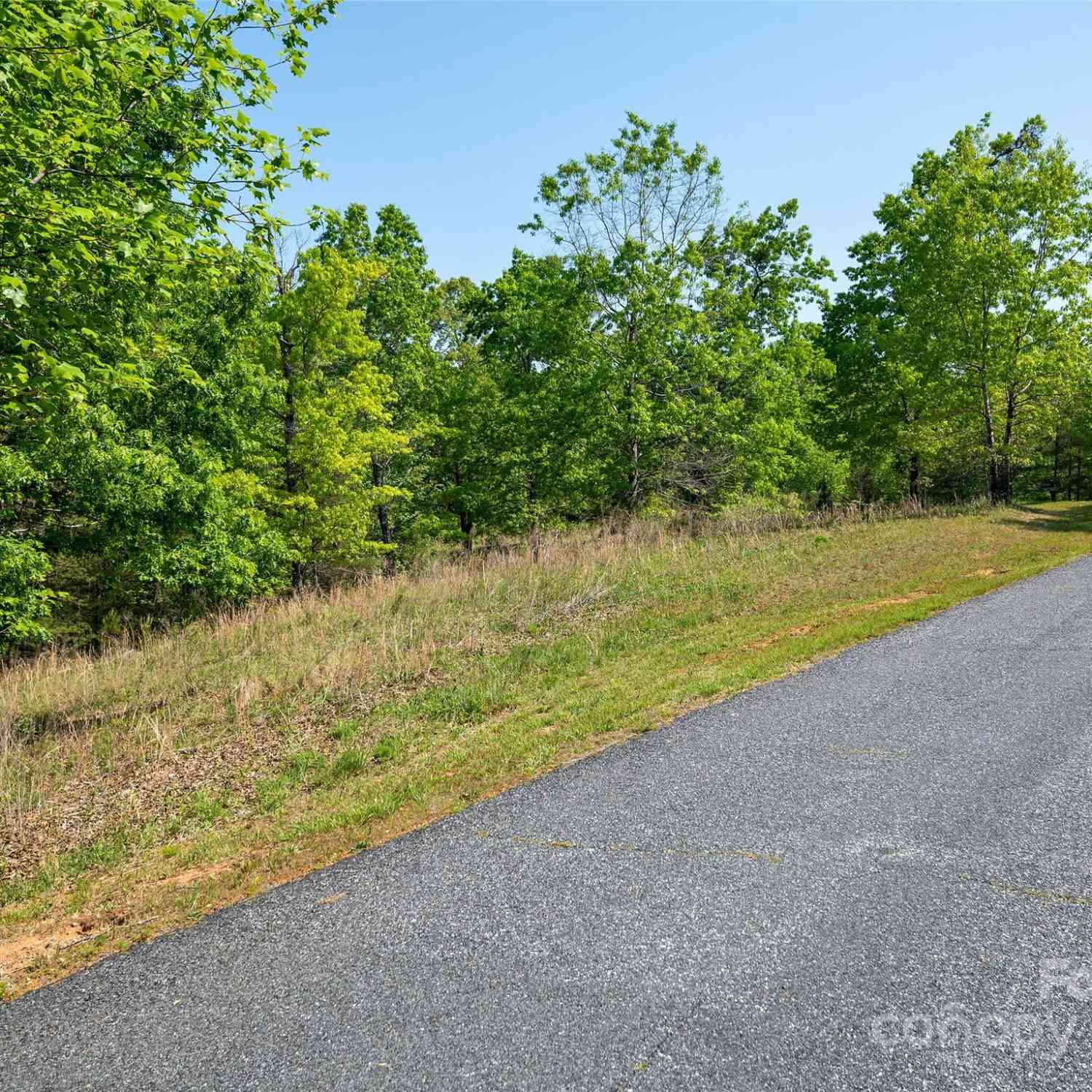 Lot 17-1 Village Park Lane, Mill Spring, North Carolina image 7