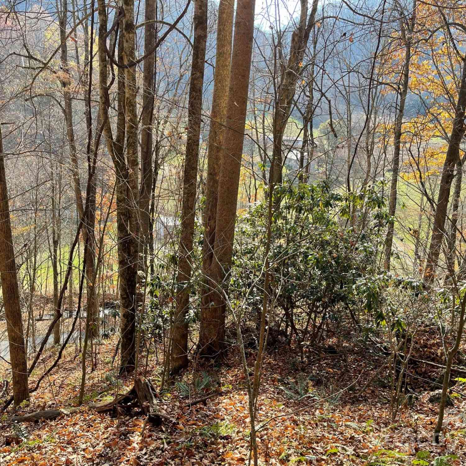 00 Foster Creek Road, Marshall, North Carolina image 13